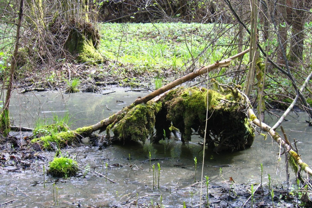 Bagno wciąga!