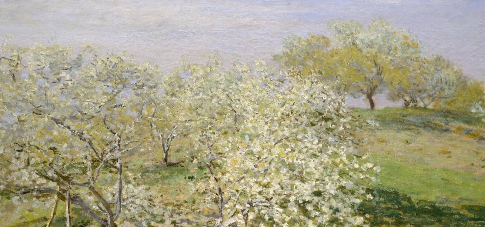 Letnia natura