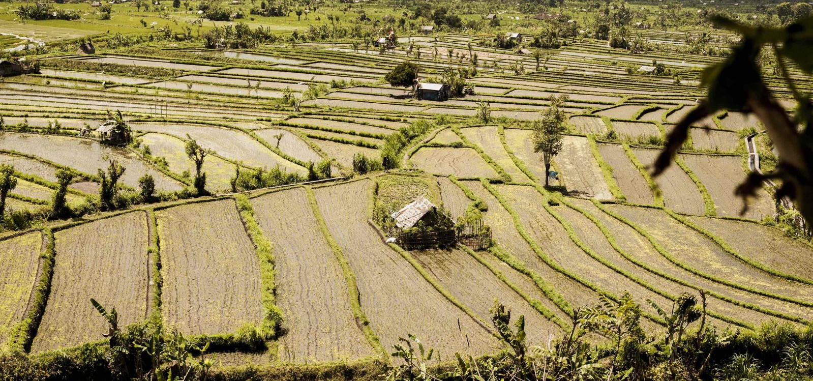 Z Julią Roberts na Bali