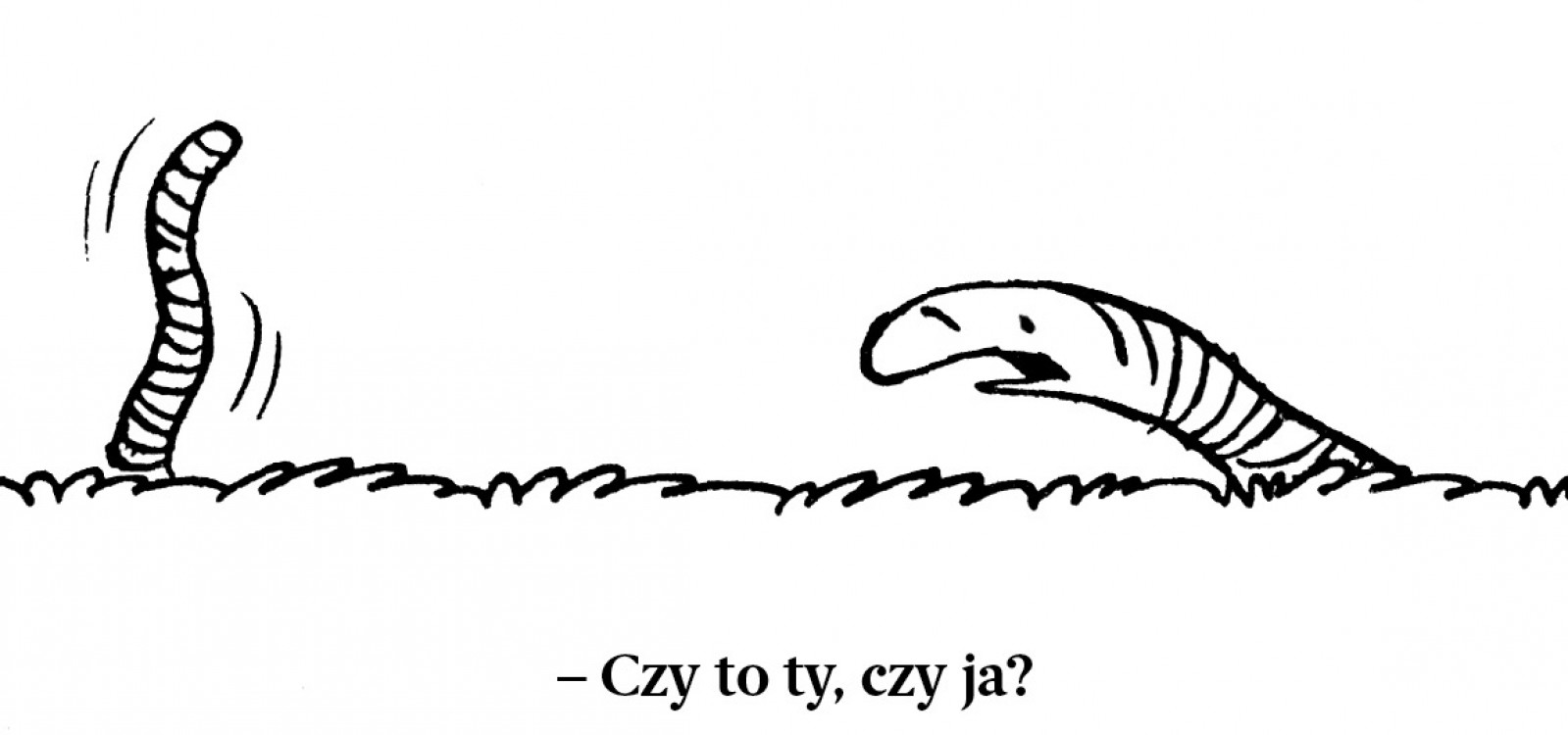 Halinki w obierkach
