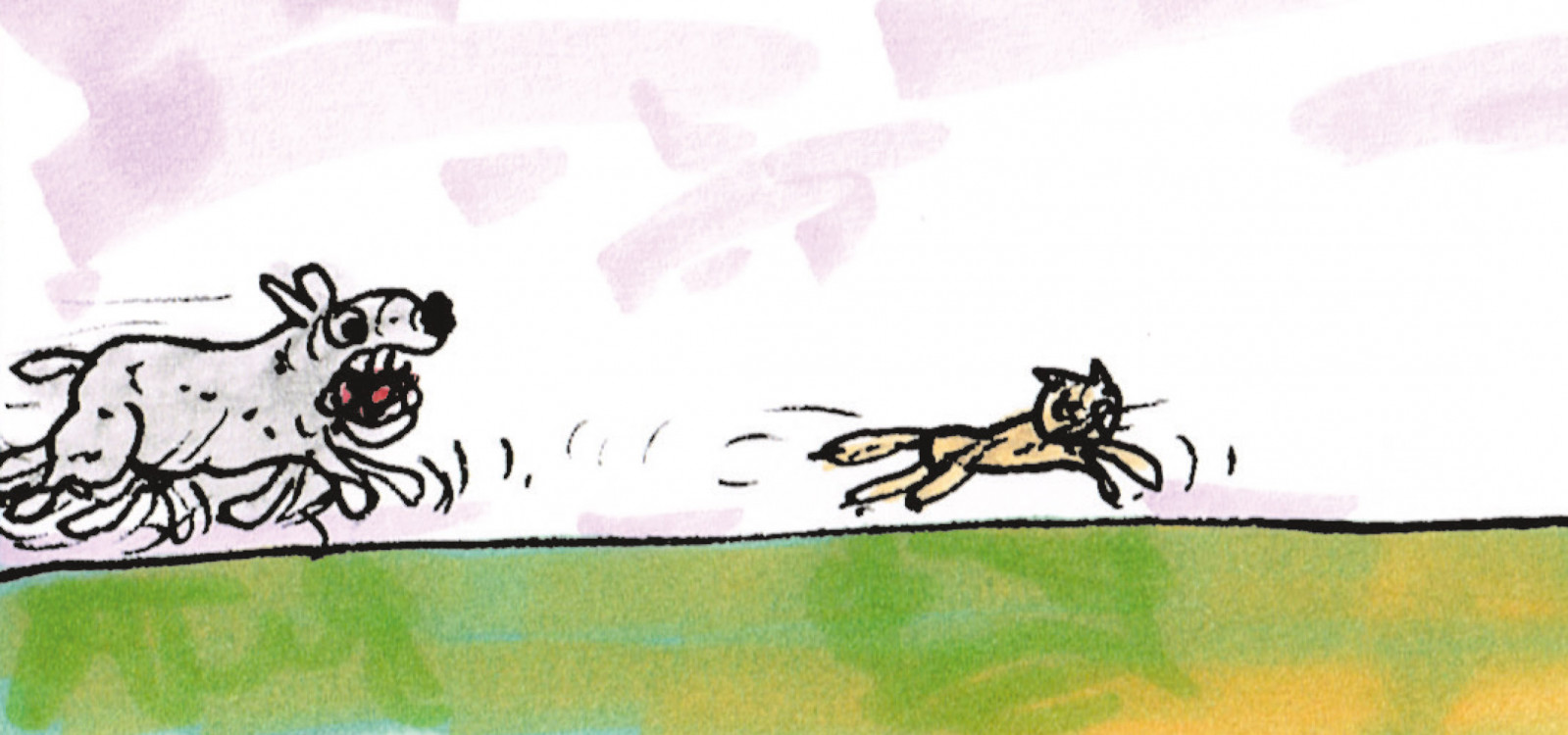 Can Cats and Dogs Ever Get Along?