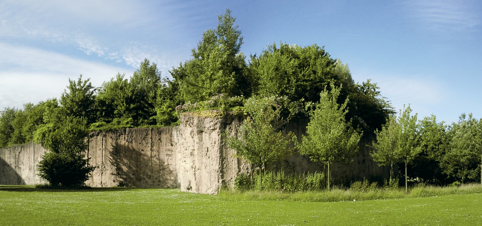 In Hope of a Garden