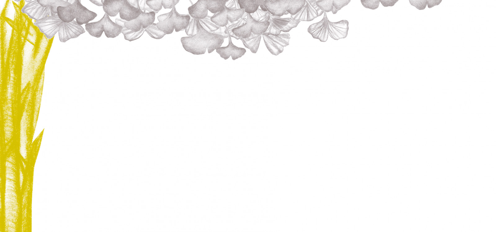 Ginkgo