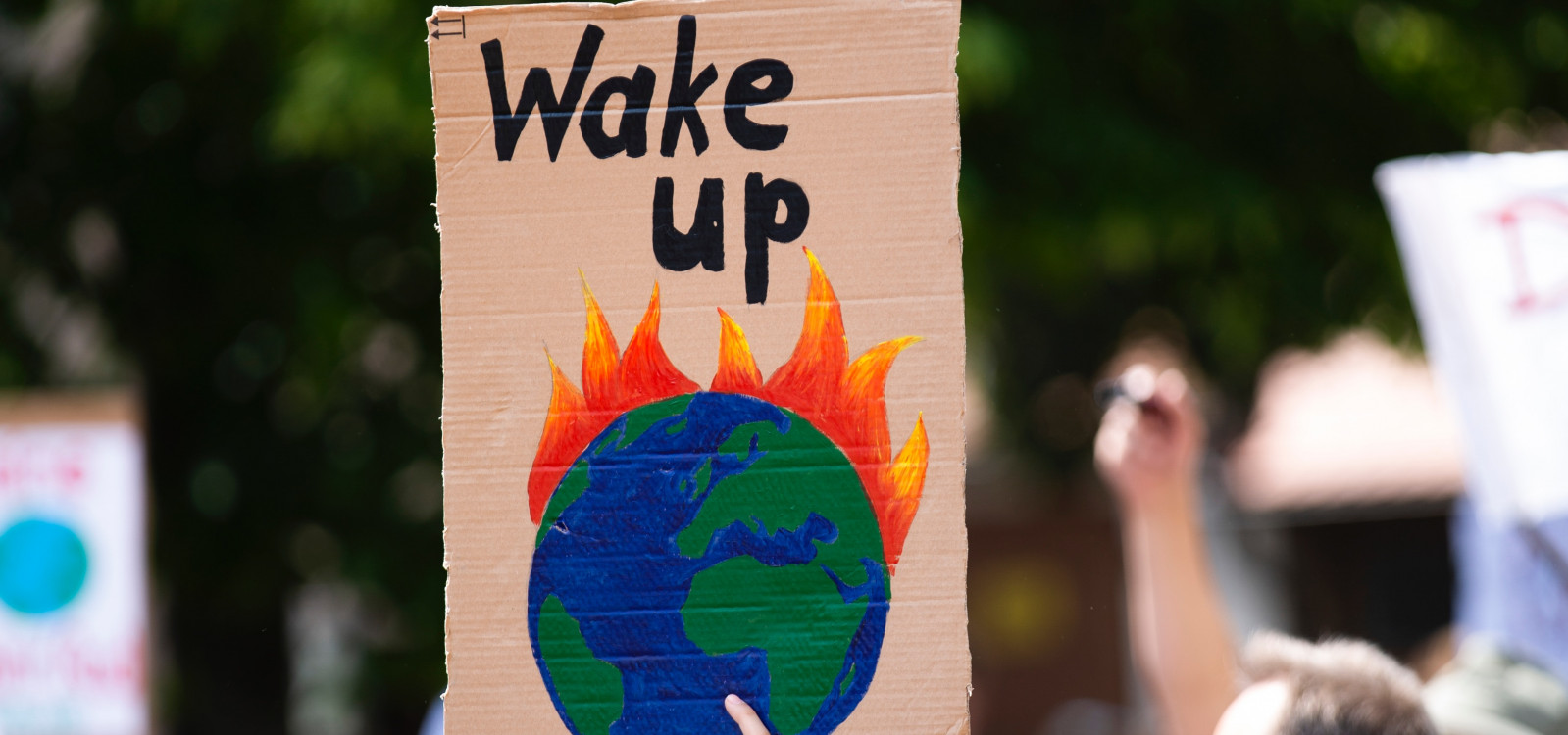 Rewolucja dzięki żałobie klimatycznej