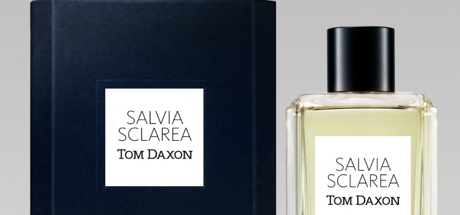 Czad: Salvia sclarea