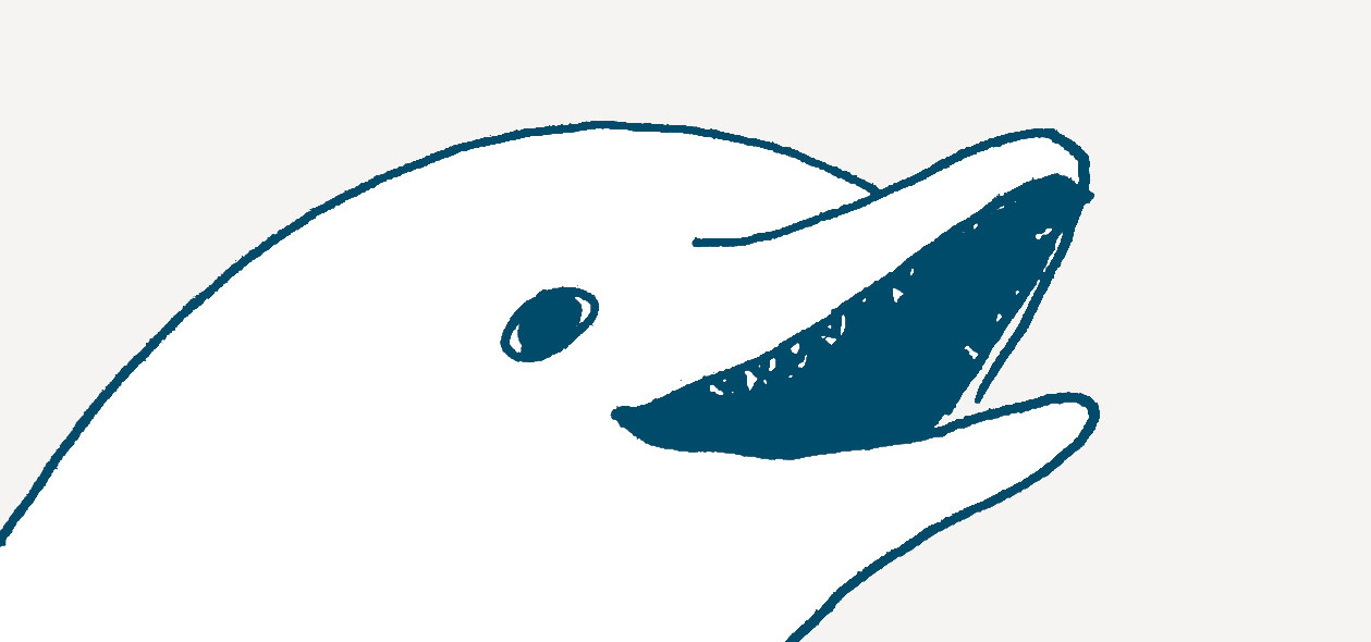 Bohater numeru – Delfin