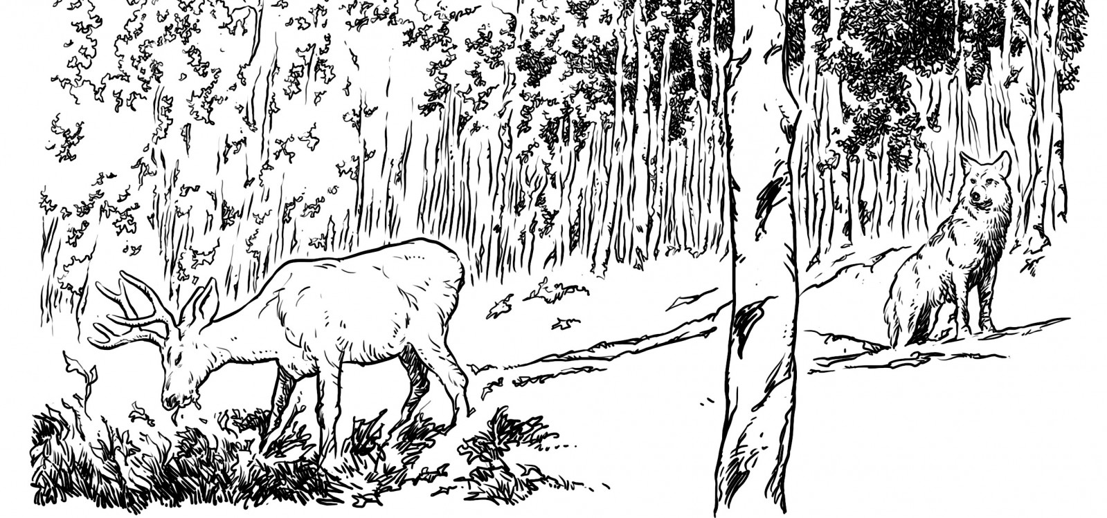 Pando wielki