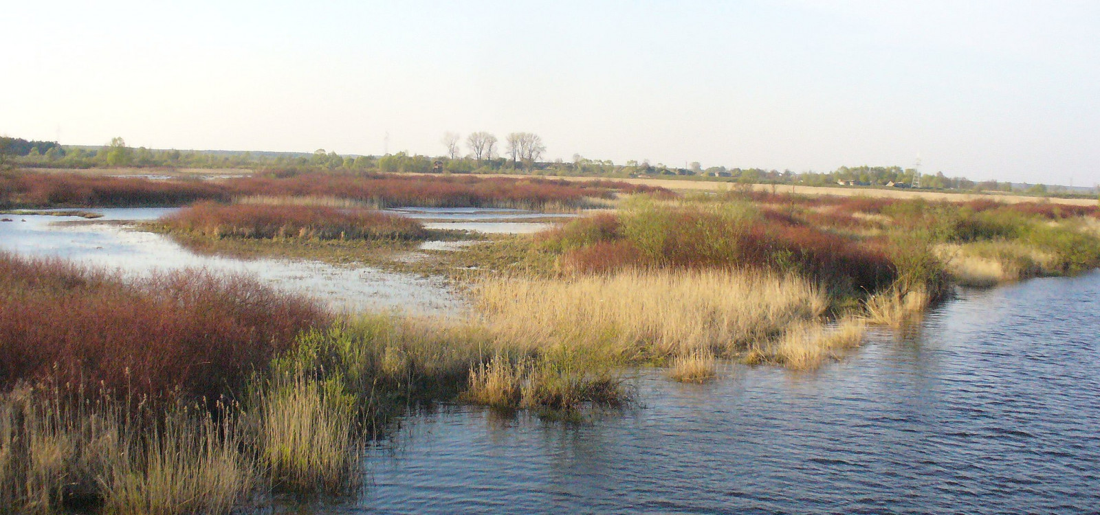 Ratujmy Biebrzański Park Narodowy