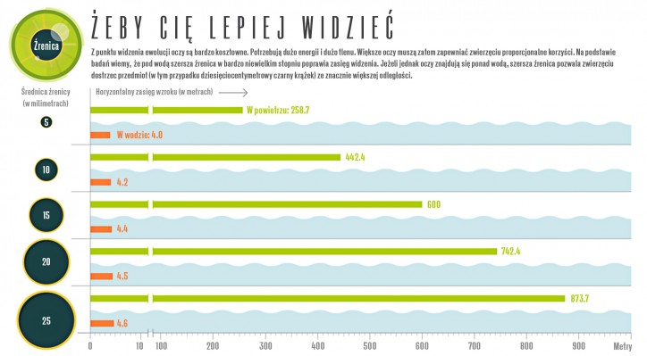 Lucy Reading-Ikkanda/Quanta Magazine; Data courtesy of Malcolm MacIver