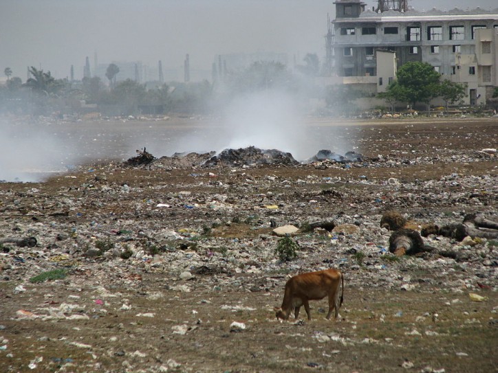 fot. McKay Savage (Wikimedia Commons)/ Składowisko odpadów stałych, gdzieś w Indiach, 2009 r. 