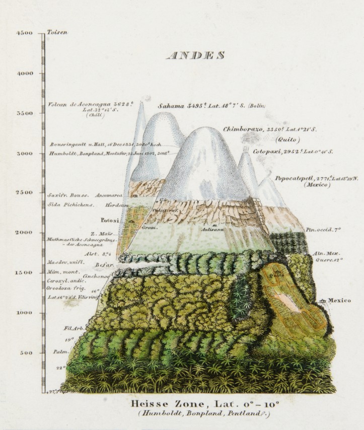 Strefy roślinne w Andach według Humboldta, za „Physikalischer Atlas” Heinricha Bergusa, tom V, 1851 r. 