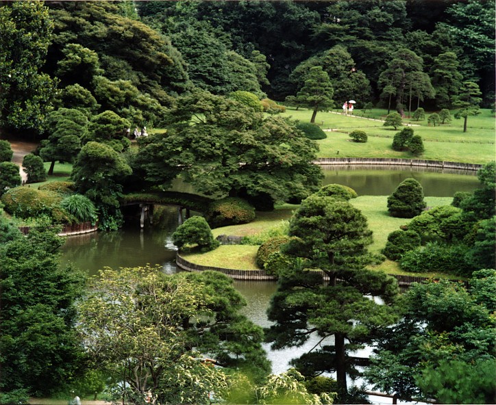 Ogród japoński Rikugien w Tokio (Wikimedia Commons)