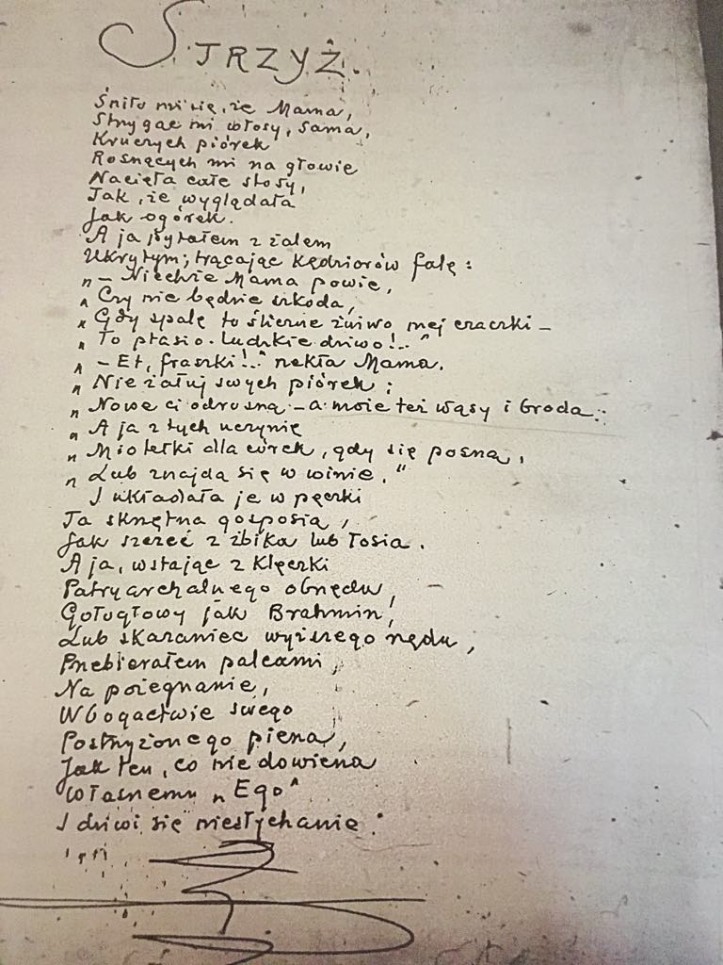 „Strzyż” – rękopis Piotra Własta (Muzeum Literatury)