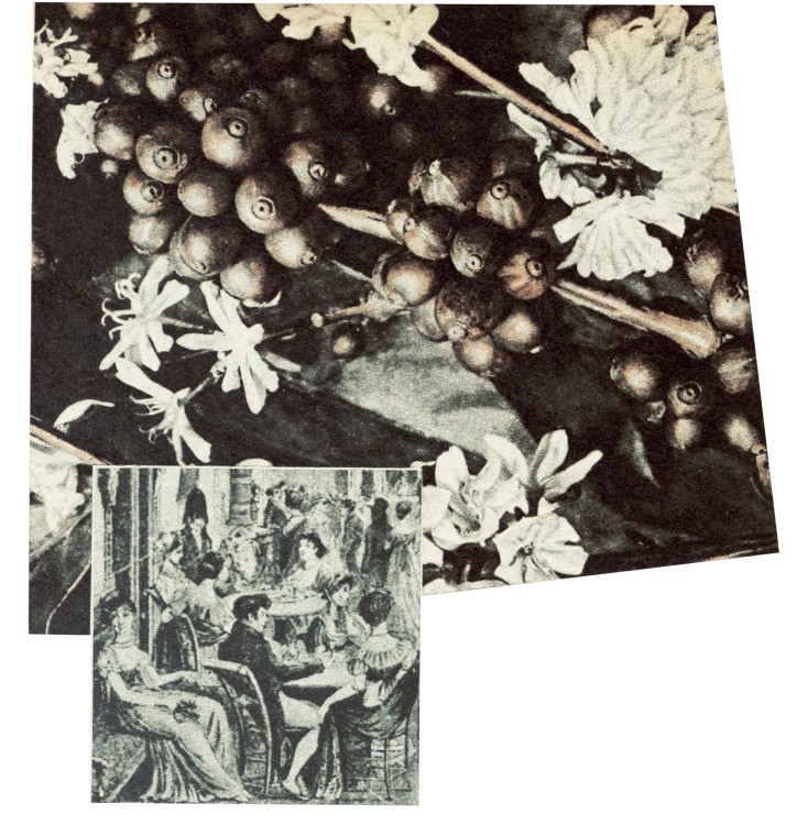 Before it is picked, prepared, brewed, and ends up in your cup, coffee begins when bushes bloom and give fruit. Café Tortoni in Paris, very popular in the 1930s.