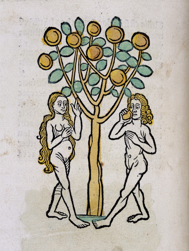 Adam i Ewa, Hortus Sanitatis; Incunabula, Wellcome Collection CC BY 4.0