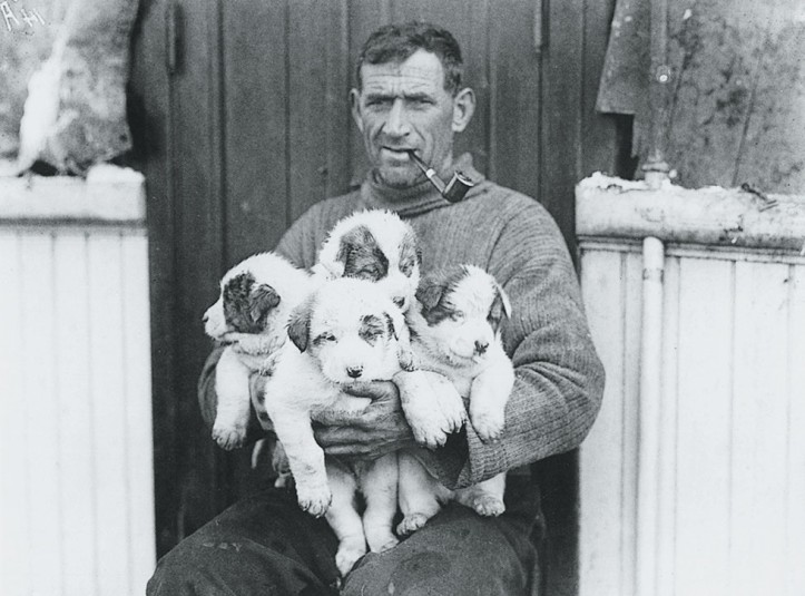Tom Crean; zdjęcie: Frank Hurley
