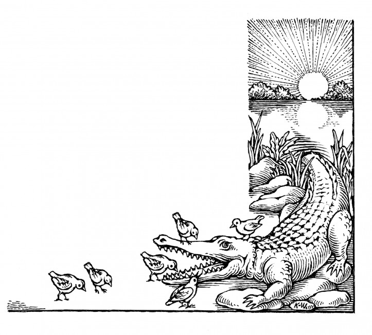 ilustracja: Kazimierz Wiśniak