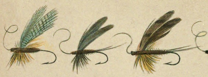 Jętki z „Art of Angling” Charlesa i Richarda Bowlkerów, 1854 r.