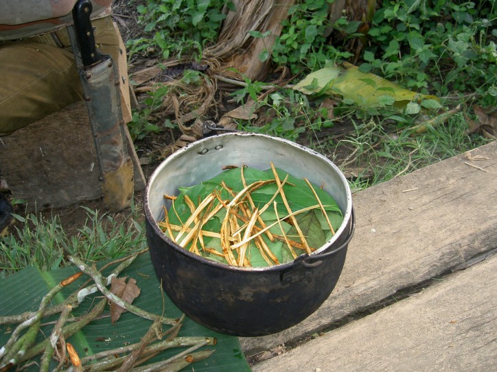 Przygotowanie ayahuaski, Prowincja Pastaza w Ekwadorze, autor: Terpsichore / Wikimedia Commons (CC BY 2.0)