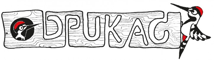 ilustracja: Karyna Piwowarska