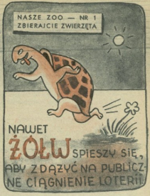  „Nasze ZOO - zbierajcie zwierzęta”, rysunek z archiwum, nr 402-3/1952