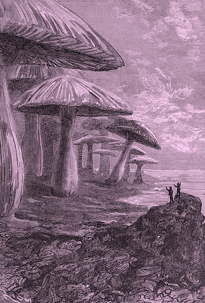 Ilustracja z powieści „Podróż do wnętrza Ziemi” Juliusza Verne'a wykonana przez Édouarda Riou, 1864 (domena publiczna)