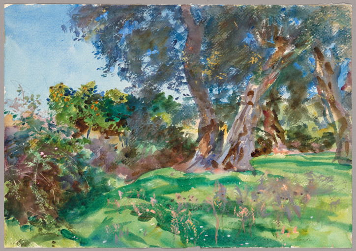  „Drzewa oliwkowe na Korfu”, John Singer Sargent, 1909; źródło: Art Institute of Chicago (domena publiczna)