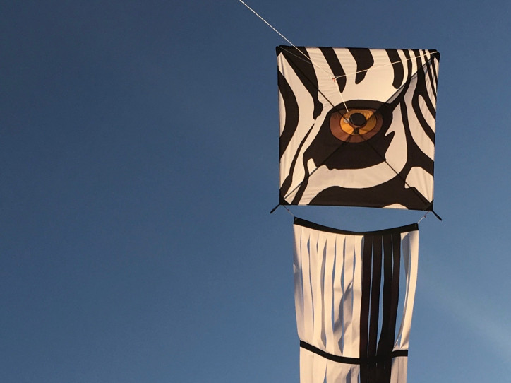 Latawiec Zebra typu Square z autorskim ogonem; zdjęcie: Alicja Szalska