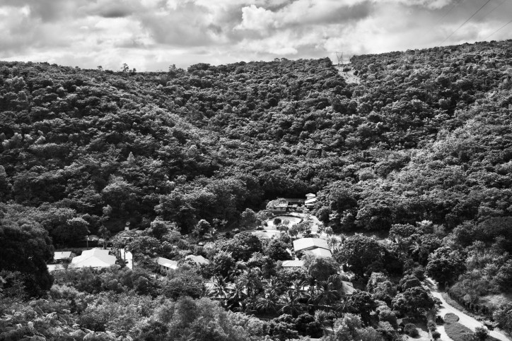 Żeby odbudować ten raj, czyli las o powierzchni ponad 600 hektarów, fotograf potrzebował niemal 20 lat i 2 mln drzew; zdjęcie: Sebastião Salgado