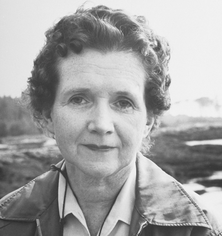 Rachel Carson. Photo by Alfred Eisenstaedt/The LIFE Picture Collection/Getty Images