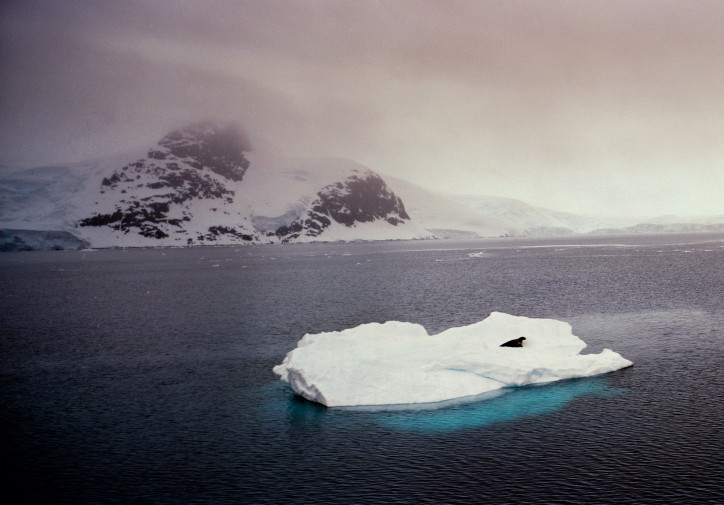 Antarktyda - 3