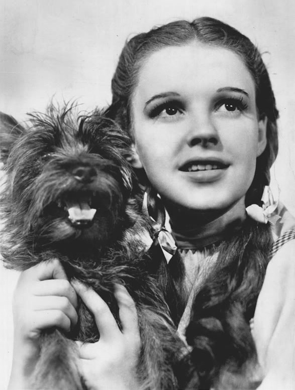 Judy Garland w filmie „Czarnoksiężnik z Oz” (1939)