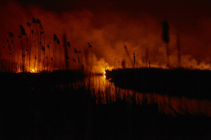 Pożary nad Biebrzą, kwiecień 2020, zdjęcie: Rafał Wojczal / Greenpeace Polska