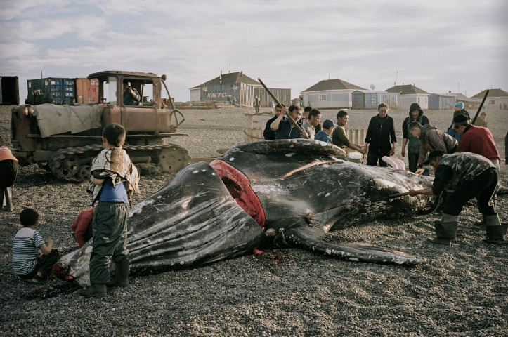  „Wieloryb z Lorino”, reż. Maciej Cuske
