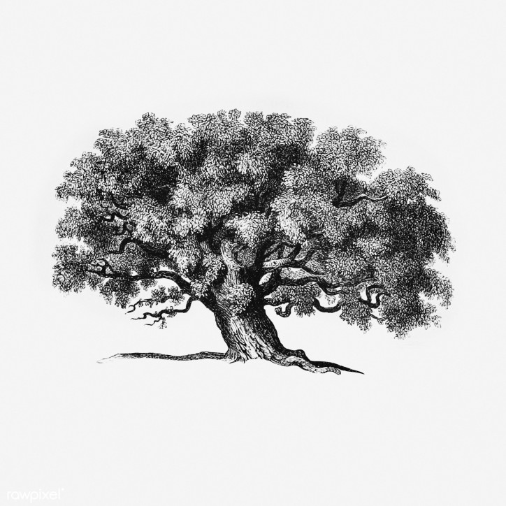 Rawpixel, Flickr (CC BY 4.0)