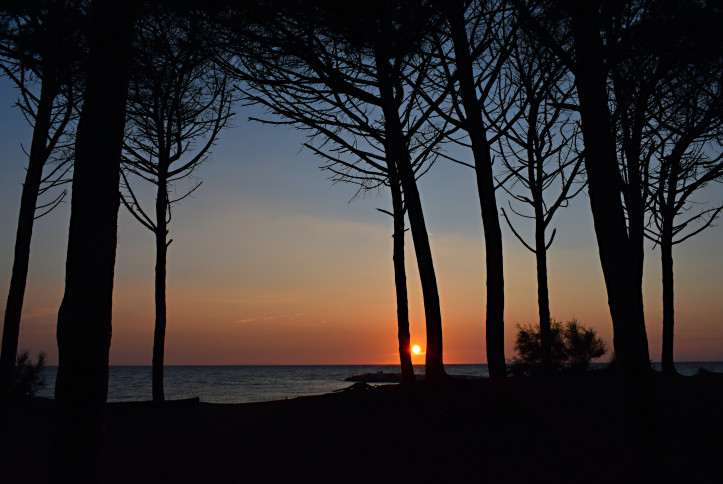 Marina di Cecina, Włochy, zdjęcie: Chris Barbalis/Unsplash
