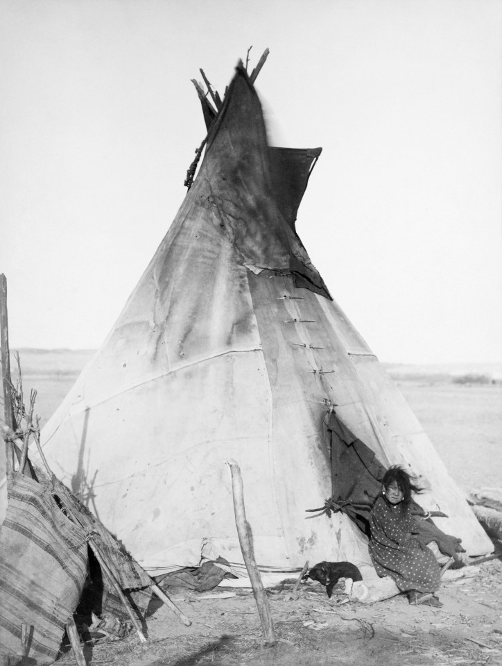 A young Oglala girl sitting in front of a tipi, with a puppy beside her, probably on or near Pine Ridge Reservation. Photo by John C.H. Grabill, 1891; Library of Congress