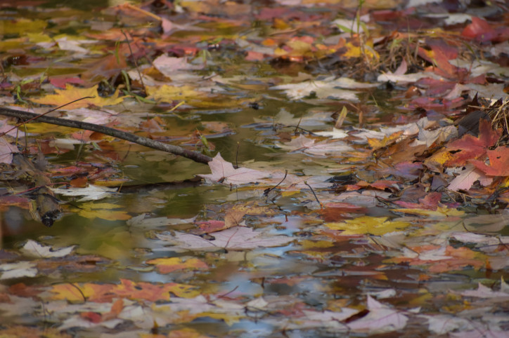zdjęcie: Laura Baker/Unsplash