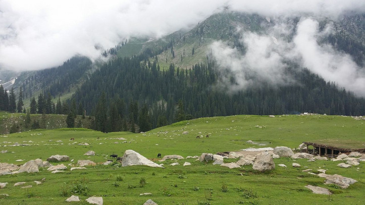Meadows at the foot of the mountains in Khyber Pakhtunkhwa, Pakistan