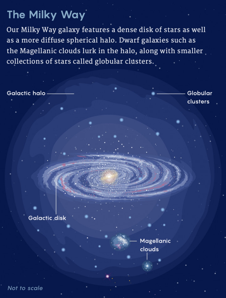 By Matt Carlstrom (Simons Foundation)
