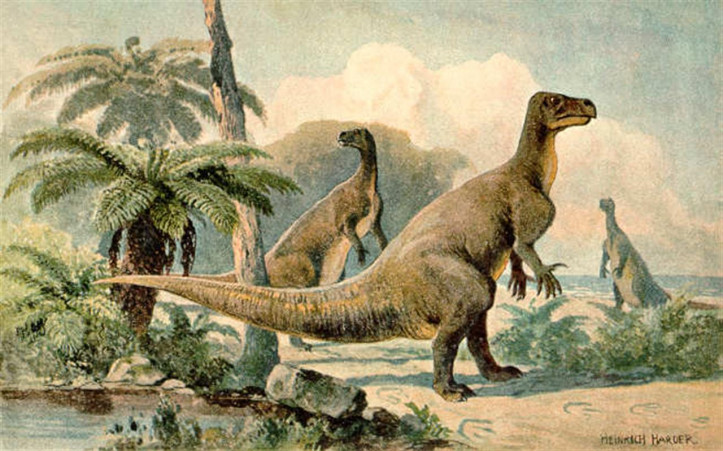 Iguanodon, ilustracja: Heinrich Harder, ok. 1916 r. (domena publiczna)