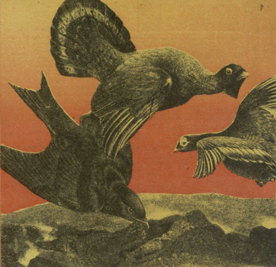 ilustracja z archiwum, nr 2020/1984 r.