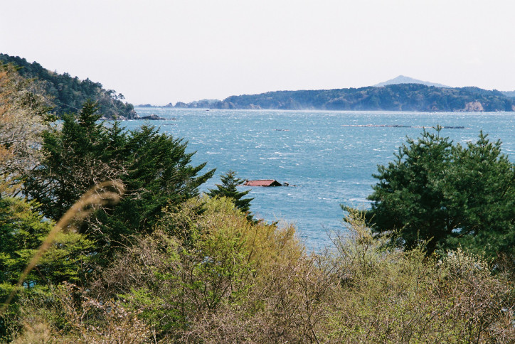 Tōhoku, 2011 r., zdjęcie: Akinori Yamada/Flickr (CC BY 2.0)