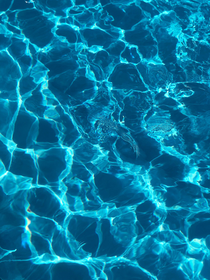 3) reflections of light on the water in a swimming pool. Source: Artem Militonian/Unsplash