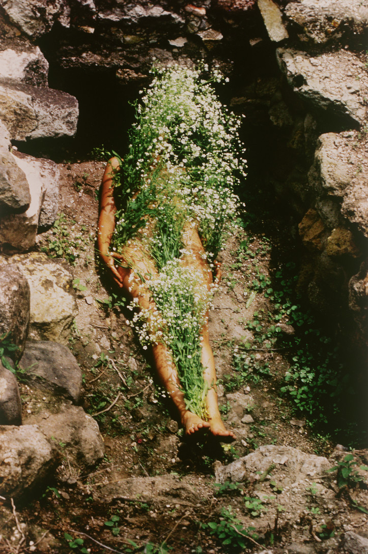 Ana Mendieta, untitled, “Silueta Series”, 1973, Mexico. Source © The Estate of Ana Mendieta Collection, LLC