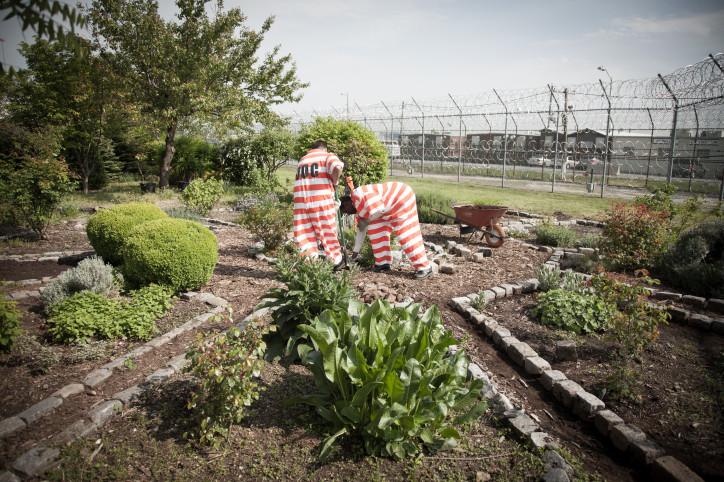 Rikers Island prison garden in New York. Photo by Lindsay Morris 
