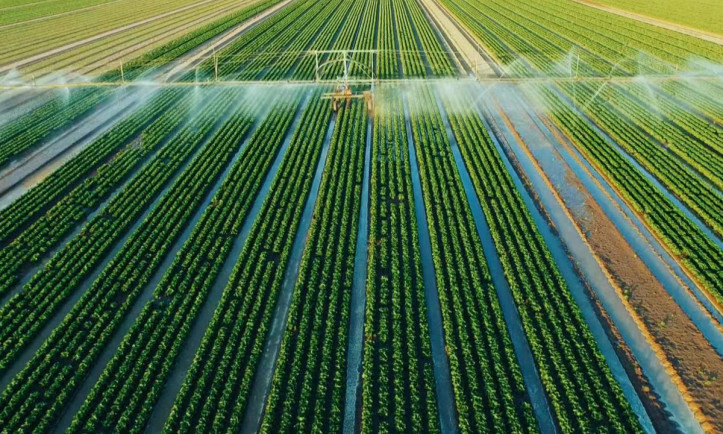 Scena z filmu „Dzień zero”, fot. materiały Tencent