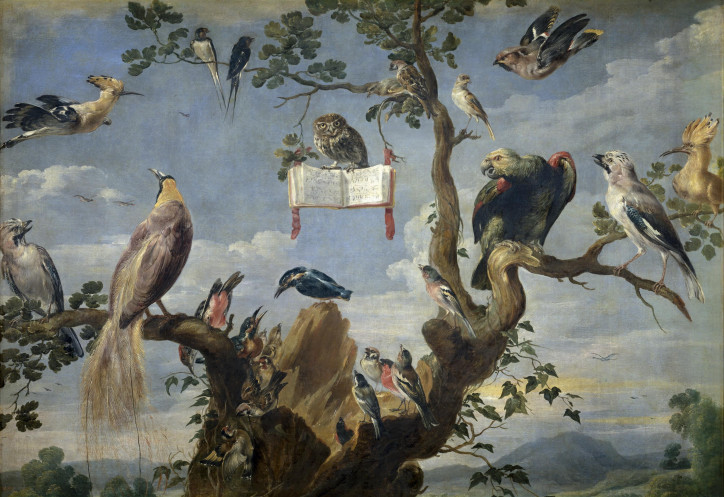  „Ptasi koncert”, Frans Snyders, pomiędzy 1629 r. a 1630 r./Museo Nacional del Prado (domena publiczna)