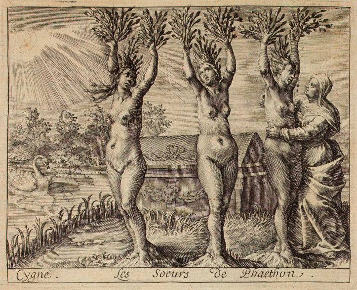 Jean Mathieu, ilustracja do Metamorfoz Owidiusza w wydaniu Nicolasa Renouarda, około 1619 r., zdjęcie: domena publiczna 