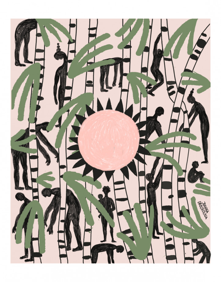 ilustracja: Joanna Grochocka